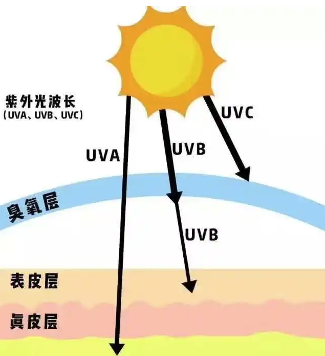 sdfa33.png