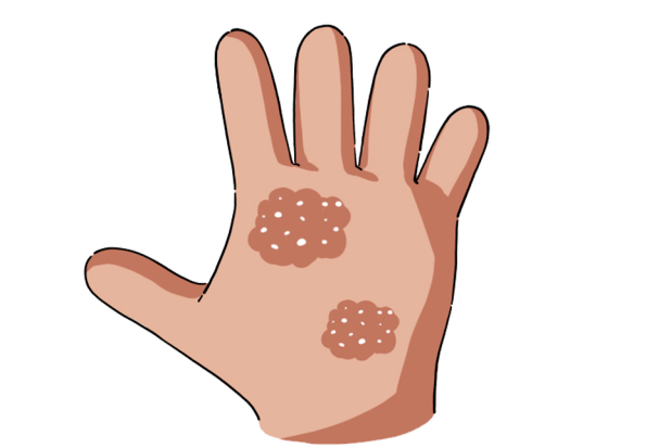 2e23977c-00e8-4889-a107-9450ae06d7de.png